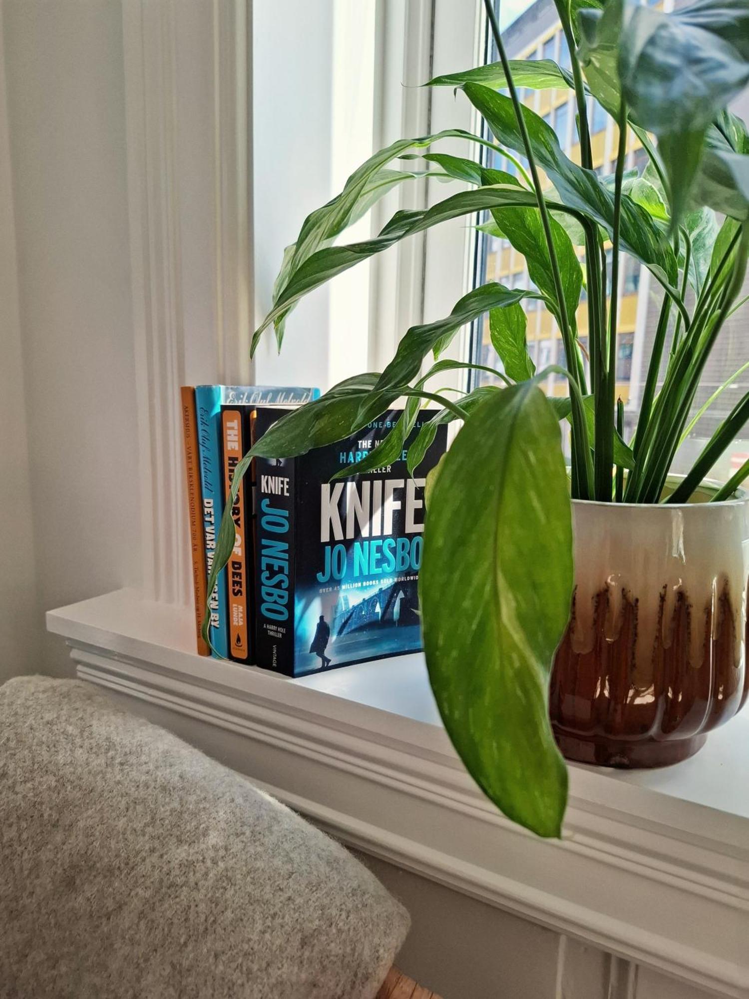 Bright And Charming Apartment From 1878 With View To The New National Museum In Oslo Zewnętrze zdjęcie